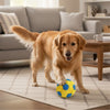 Fofos Football Shaped Sports Toy for Dogs Dogs-Toys FOFOS