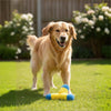 Fofos Jack Shaped Sports Toy for Dogs Dogs-Toys FOFOS