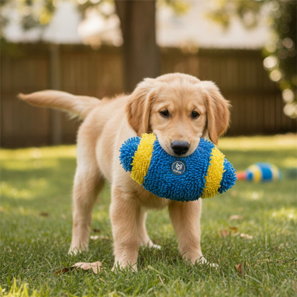 Fofos Rugby Ball Shaped Sports Toy for Dogs