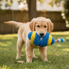 Fofos Rugby Ball Shaped Sports Toy for Dogs Dogs-Toys FOFOS