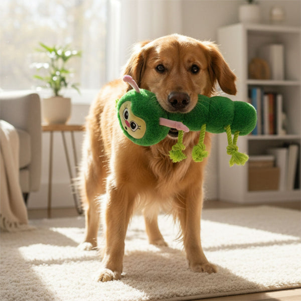Fofos Caterpillar Spring Plush Toy for Cats