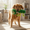 Fofos Caterpillar Spring Plush Toy for Cats Cats-Toys FOFOS