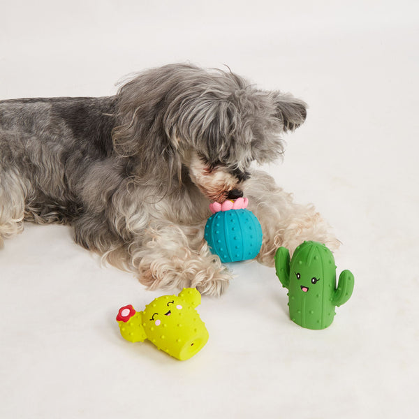 Fofos Summer Latex Toy for Dogs