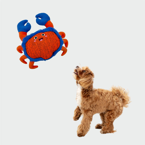 Fofos Crab Summer Plush Toy for Dogs