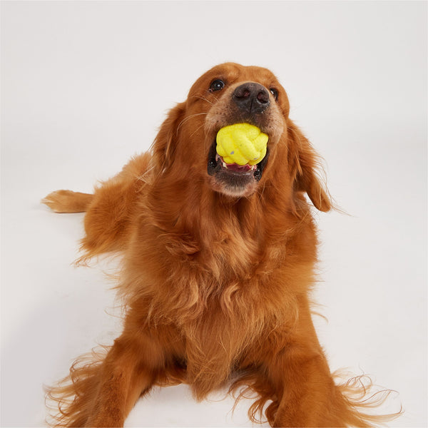 Fofos Cross Ball Super Bounce Toy for Dogs