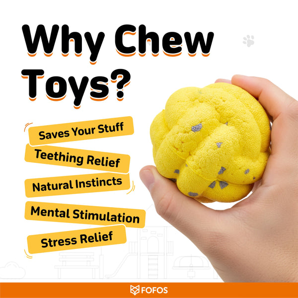 Fofos Cross Ball Super Bounce Toy for Dogs