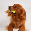 Fofos Gourd Shaped Super Bounce Toy for Dogs Dogs-Toys FOFOS