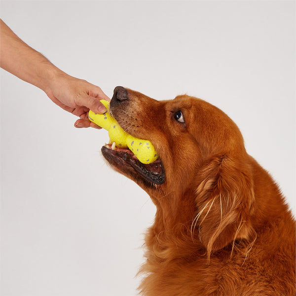 Fofos Stick Shaped Super Bounce Toy for Dogs