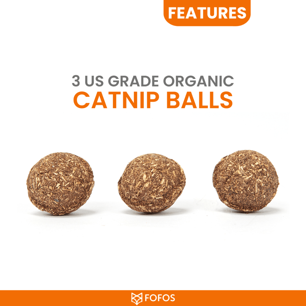 Barkbutler x Fofos Blue Bird with Catnip Balls Interactive Toy for Cats Cats-Toys Barkbutler