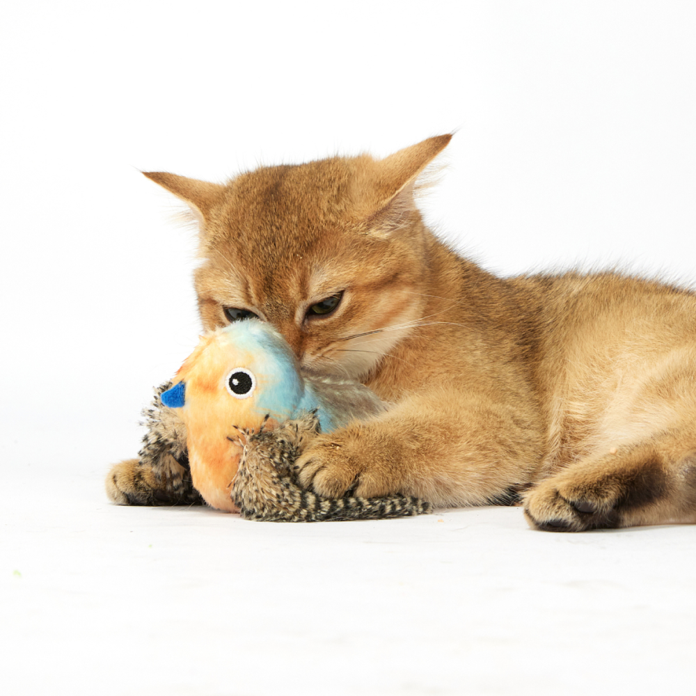 Barkbutler x Fofos Blue Bird with Catnip Balls Interactive Toy for Cats Cats-Toys Barkbutler