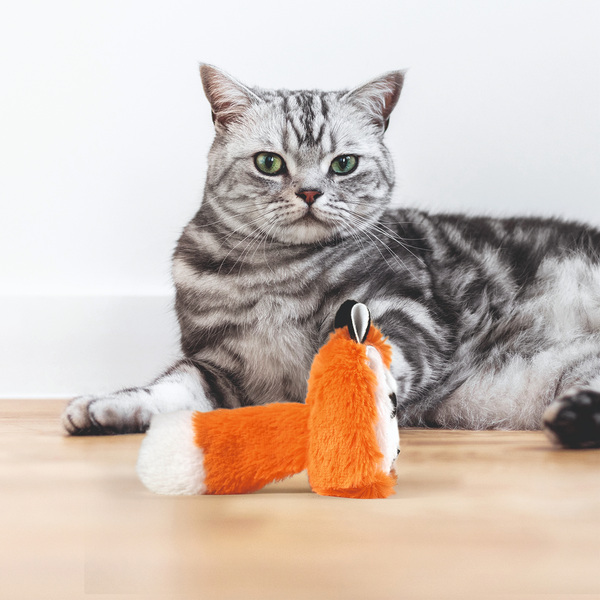 Barkbutler x Fofos Floppy Crinkle Fox Catnip Toy for Cats