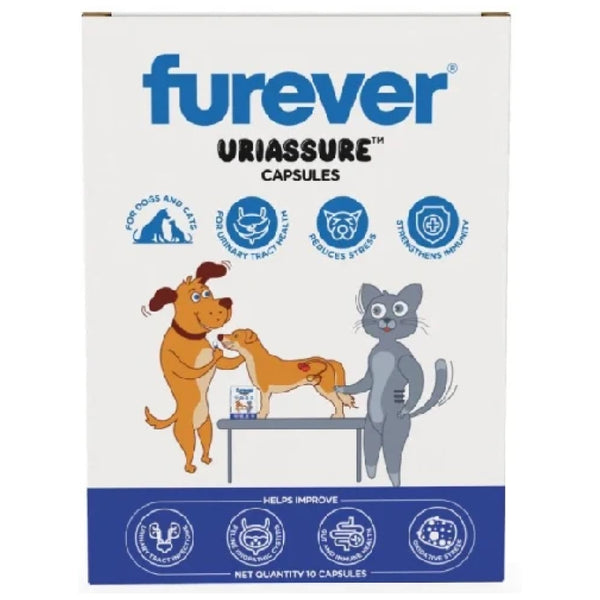 Pawsome Companion Synbiopro Capsules for Dogs & Cats