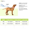 Furry & Co Weatherproof Collar and Leash for Dogs Combo (Everest Blue) - M Dogs-Collar, Leashes, harnesses Furry & Co