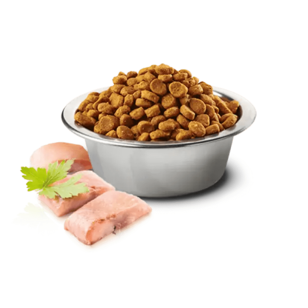 Farmina N&D Ocean Herring & Orange Grain Free Adult Cat Dry Food Cats- Dry food Farmina N&D