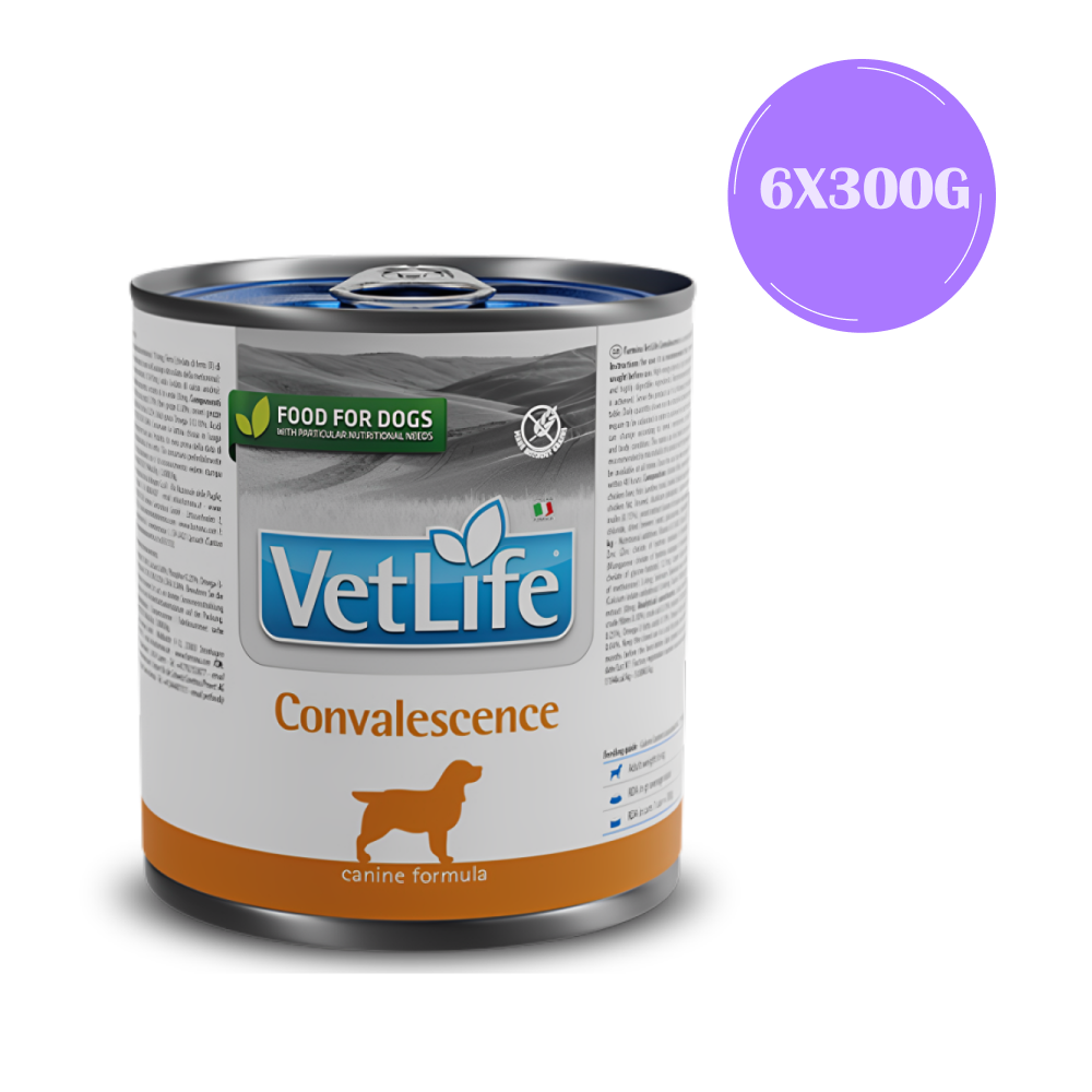 Farmina Vet Life Convalescence Canine Formula Dog Wet Food Dogs-Wet Food Farmina Vet Life 6x300g
