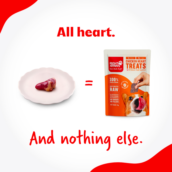 Right4Paws Chicken Heart Dog Treats