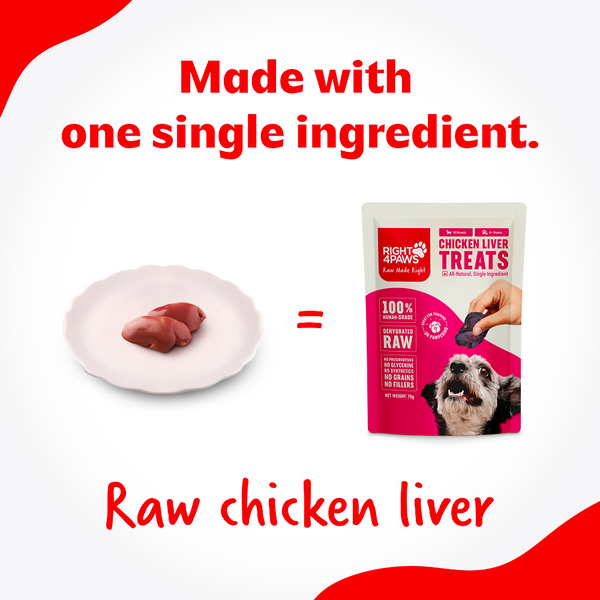 Right4Paws Chicken Liver Dog Treats