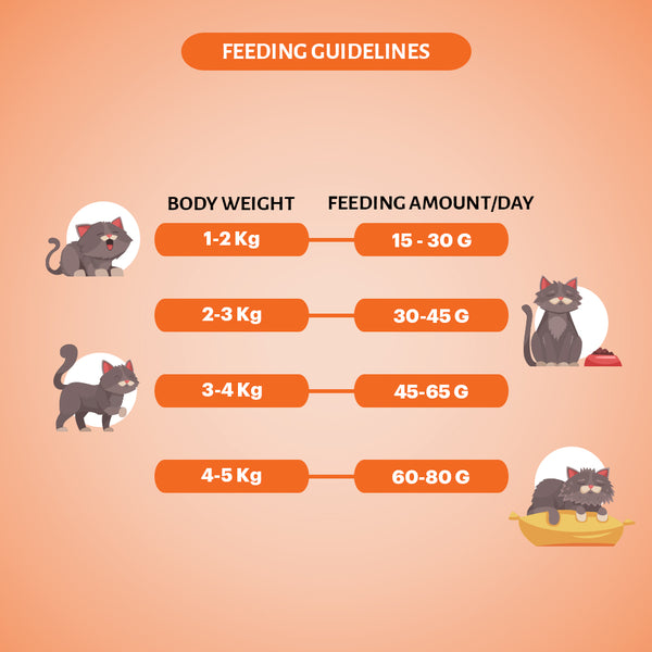 Signature Grain Zero Mackerel Adult Cat Dry Food For All Breed