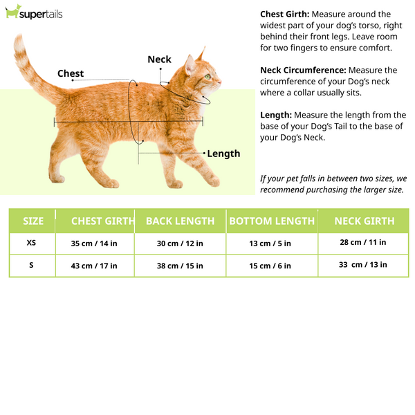 Pawsindia Rajasthan Puppies T20 Pets Premier League Jersey for Cats | Indian Pet League