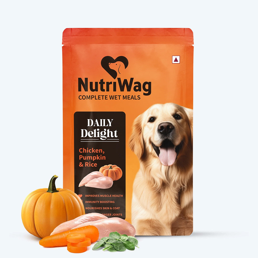 NutriWag Daily Delight Chicken, Pumpkin & Rice Dog Wet Food Dogs-Wet Food Heads Up for Tails 300g