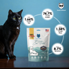 Hachi Wilson Premium Sardine Fish Jerky Cat Treat Cats-Treats & Others Hachi Wilson
