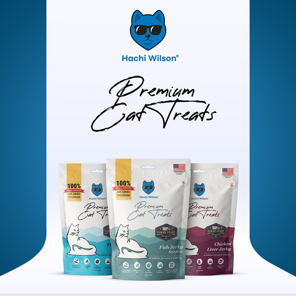 Hachi Wilson Premium Sardine Fish Jerky Cat Treat