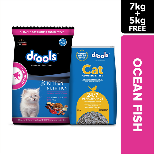 Drools Ocean Fish Kitten Cat Dry Food