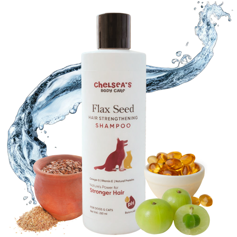Dr. Chelsea’s Flax Seed Hair Strengthening Shampoo for Dogs & Cats Both-Grooming Supplies Dr. Chelsea's Dropship 250mL