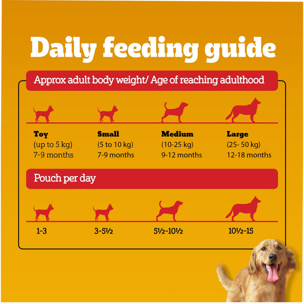 Pedigree Chicken and Liver Chunks in Gravy Adult Dog Wet Food (130g)