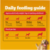Pedigree Chicken and Liver Chunks in Gravy Adult Dog Wet Food (130g) Dogs-Wet Food Pedigree
