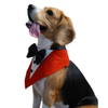 Floof & Co Tux Bandana Triangle for Dogs (Red) Dogs-Clothing & Accessories Floof & Co Dropship