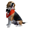 Floof & Co Tux Bandana Triangle for Dogs (Red) Dogs-Clothing & Accessories Floof & Co Dropship