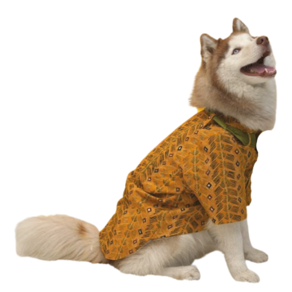 Floof & Co Cotton Kurta for Dogs (Mustard)