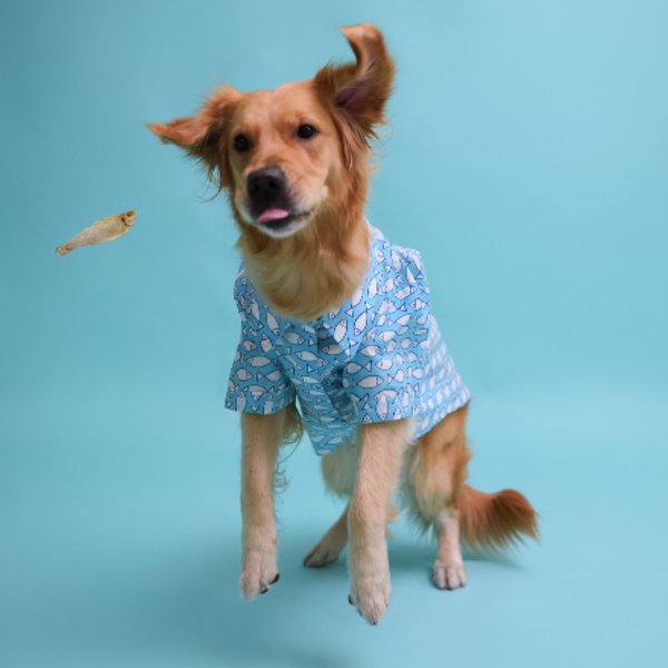 Floof & Co Fish Print Cotton Shirt for Dogs (Blue)