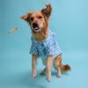 Floof & Co Fish Print Cotton Shirt for Dogs (Blue) Dogs-Clothing & Accessories Floof & Co Dropship