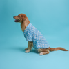 Floof & Co Fish Print Cotton Shirt for Dogs (Blue) Dogs-Clothing & Accessories Floof & Co Dropship