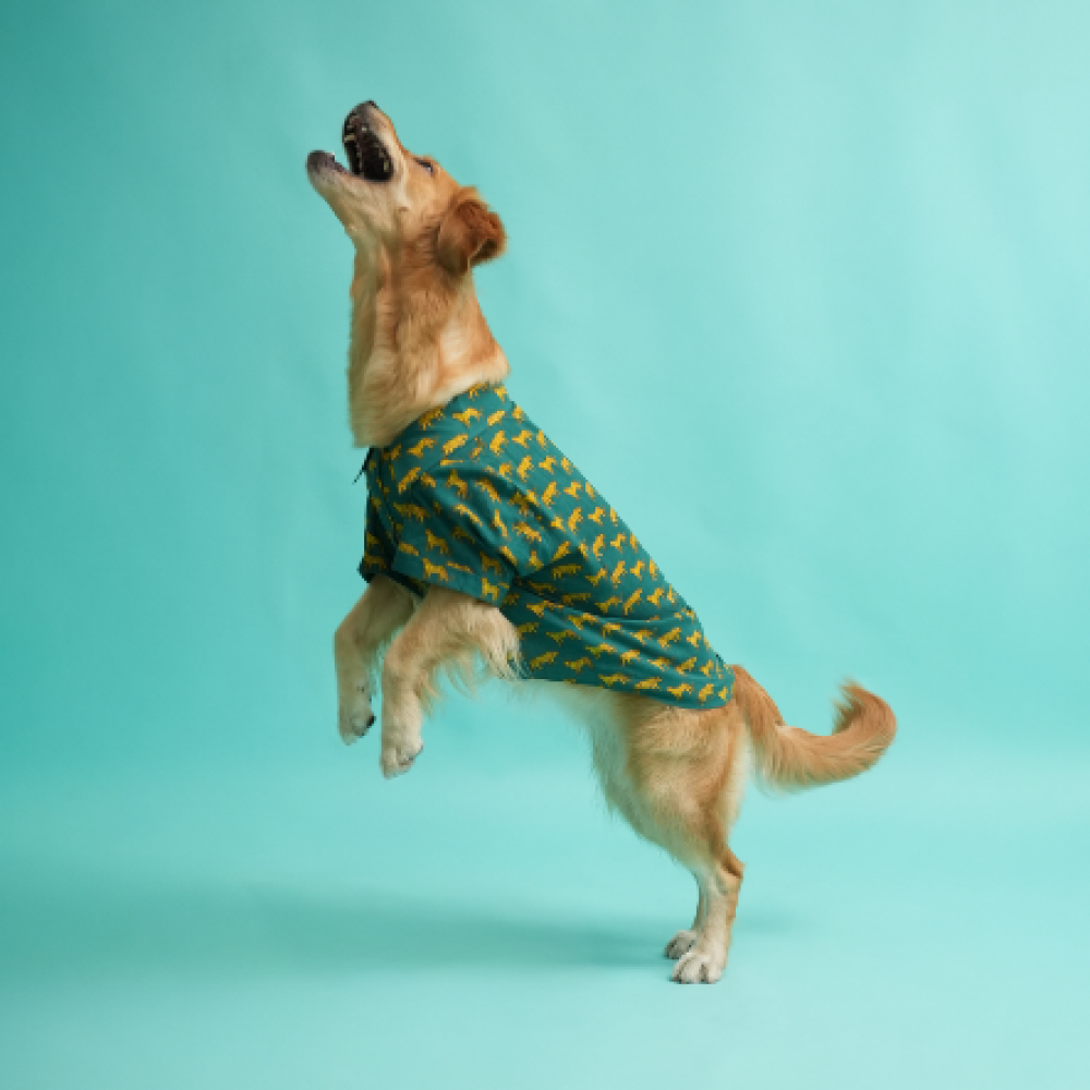Floof & Co Leapord Print Cotton Shirt for Dogs (Dark Green) Dogs-Clothing & Accessories Floof & Co Dropship
