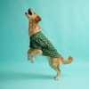 Floof & Co Leapord Print Cotton Shirt for Dogs (Dark Green) Dogs-Clothing & Accessories Floof & Co Dropship