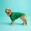 Floof & Co Cotton Patola Print Kurta for Dogs (Green) Dogs-Clothing & Accessories Floof & Co Dropship