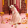 Floof & Co Pastel Banarasi Lehenga for Dogs (Pink/Gold) Dogs-Clothing & Accessories Floof & Co Dropship