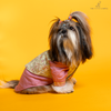 The Papaw Cartel Floral Embroidered Koti and Kurta set for Dogs (Pink) Dogs-Clothing & Accessories The Papaw Cartel Dropship