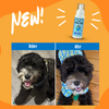 EarthBath Bilberry and Blueberry Scented Foaming Face Wash for Dogs and Cats Both-Grooming Supplies EarthBath