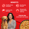 Drools Focus Real Chicken & Chicken Liver Chunks in Gravy Adult Dog Wet Food Dogs-Wet Food Drools Focus