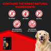 Drools Focus Real Chicken & Chicken Liver Chunks in Gravy Adult Dog Wet Food Dogs-Wet Food Drools Focus