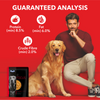 Drools Focus Real Chicken & Chicken Liver Chunks in Gravy Adult Dog Wet Food Dogs-Wet Food Drools Focus