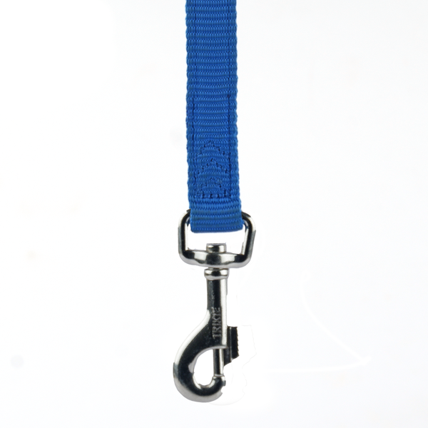 Trixie Premium H Harness, Premium Leash and Collar for Dogs Combo (Royal Blue) - M