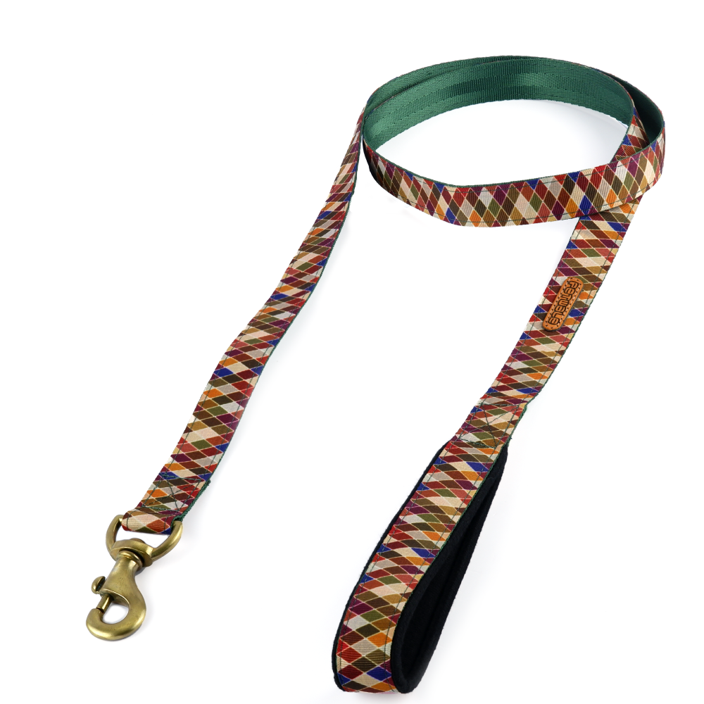 PetWale Diamond Padded Handle Leash for Dogs (Multicolour)