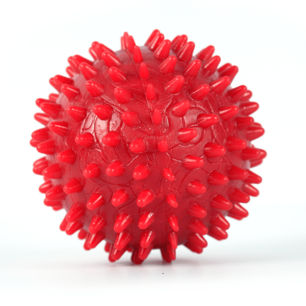 Drools Non Toxic Rubber Stud Spike Hard Ball Chew Teething Toy for Puppies and Dogs | For Aggressive Chewers Dogs-Toys Drools