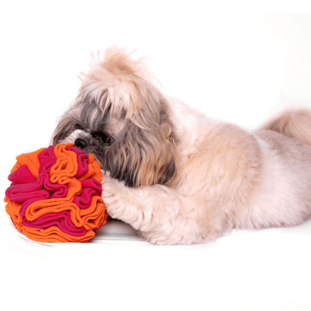 For The Love Of Dog Sniffer Ball Toy for Dogs (Pink/Orange) Dogs-Toys For The Love Of Dog Dropship