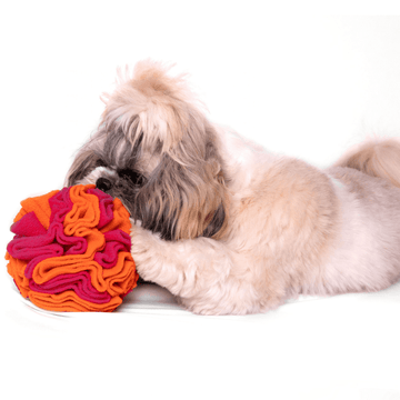 For The Love Of Dog Sniffer Ball Toy for Dogs (Pink/Orange)